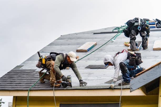 Professional Storm Damage Roof Repair technician working in Flanagan, IL